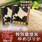 米 10kg 北海道産米 10kg 送料無料 ゆめぴりか米 10kg 米 特別栽培米 有機肥料使用 ゆめぴりか 米 ゆめぴりか 10kg ( 5kg×2 ) 米 ごはん うるち米