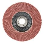 藤原産業 SK11 サンダーディスクA#100 SSD-A100