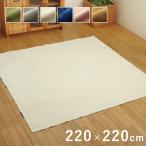 ラグ カーペット 3畳 洗える 無地 『イーズ』 約220×220cm 裏:すべりにくい加工 （ホットカーペット対応) 爆買