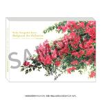  фиолетовый *eva- сад серии изобразительное искусство фон сборник репродукций 