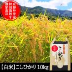 新米【 白米 】 10kg コシヒカリ 特別栽培米 令和7年産 京都府産 農家直送 産地直送 こしひかり お米 10キロ 丹波産 精米 アサイファーム