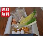 伝助あなごしゃぶしゃぶスペシャルセット