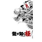 [メール便OK]【新品】【NS2】龍が如く 極[在庫品]