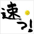 [ почтовая доставка OK][ новый товар ][CD] скорость .!~ скорость ..NON STOP mega Mix ~[ наличие товар ]