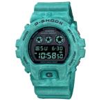 【新品】カシオ CASIO G-SHOCK ジーショック DW-6900WS-2JF 【メーカー正規品・一年保証】【送料無料※沖縄除く】