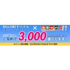 【メール便限定】BIGLOBE（ビッグローブ） モバイル エントリーパッケージ 格安SIM iPhone/Android共通【送料無料※沖縄除く】※SIMカードは同梱されません