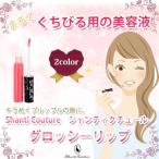 グロッシーリップ　グロス　2カラー　シャンティクチュール　EBM