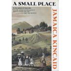 A small Place / Jamaica Kincaid