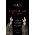 Evangelical Gothic: The English Novel and the Religious War on Virtue from Wesley to Dracula