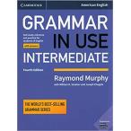 Grammar in Use Intermediate (American English)