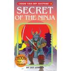 Secret Of The Ninja