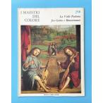 La Valle Padana fra Gotico e Rinascimento: Storia Della Pittura Vol.8 / I Maestri Del Colore 258