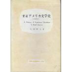  необходимо мнение America литературная история 