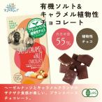 フェアトレード有機塩キャラメル＆ナッツ 植物性チョコレート　80g　（プラントベース）（オーガニック）(メール便 単品6個まで対応)
