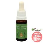 グッドモーニング アラレタマ スパイスフォーザソウル