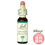  цент - Lee bachi цветок remeti Япония внутренний стандартный товар glycerin Nelson 
