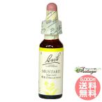 горчица bachi цветок remeti Япония внутренний стандартный товар glycerin Nelson 