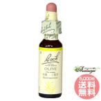  оливковый bachi цветок remeti Япония внутренний стандартный товар glycerin Nelson 