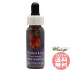  Alpine Lilly FES цветок essence Quint essence 
