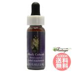  черный ko сигнал shuFES цветок essence Quint essence 