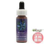 bo Large .FES цветок essence Quint essence 