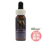  California питчер план toFES цветок essence Quint essence 