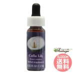  Cara Lilly FES цветок essence Quint essence 