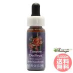  Canyon dado редкость FES цветок essence Quint essence 