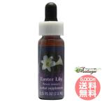  e-s ta- Lilly FES цветок essence Quint essence 