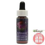 ekenei автомобиль FES цветок essence Quint essence 