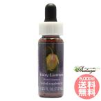 fea Lee фонарь FES цветок essence Quint essence 