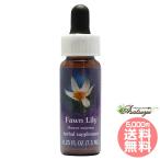  four n Lilly FES цветок essence Quint essence 