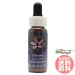  filler Lee FES цветок essence Quint essence 