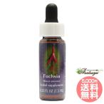 f-siaFES цветок essence Quint essence 