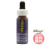  золотой удилище FES цветок essence Quint essence 