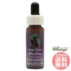  Rav laizb ведущий FES цветок essence Quint essence 