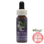  Nico si дыра FES цветок essence Quint essence 