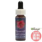 pomeglaneitoFES цветок essence Quint essence 