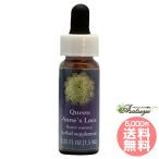 k.-n абрикос гонки FES цветок essence Quint essence 