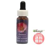 k in sFES цветок essence Quint essence 