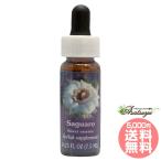 sagaroFES цветок essence Quint essence 