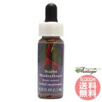  алый Monkey цветок FES цветок essence Quint essence 