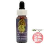  Scotch Bloom FES цветок essence Quint essence 
