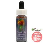  Tiger Lilly FES цветок essence Quint essence 