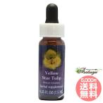 ie жаровня тюльпан FES цветок essence Quint essence 