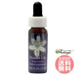  десерт Lilly FES цветок essence плита o яркий 