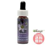  Louis -jiaFES цветок essence плита o яркий 