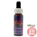 oko чай roFES цветок essence плита o яркий 