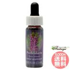 petikyula белка FES цветок essence плита o яркий 