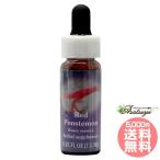  красный пенсов temonFES цветок essence плита o яркий 